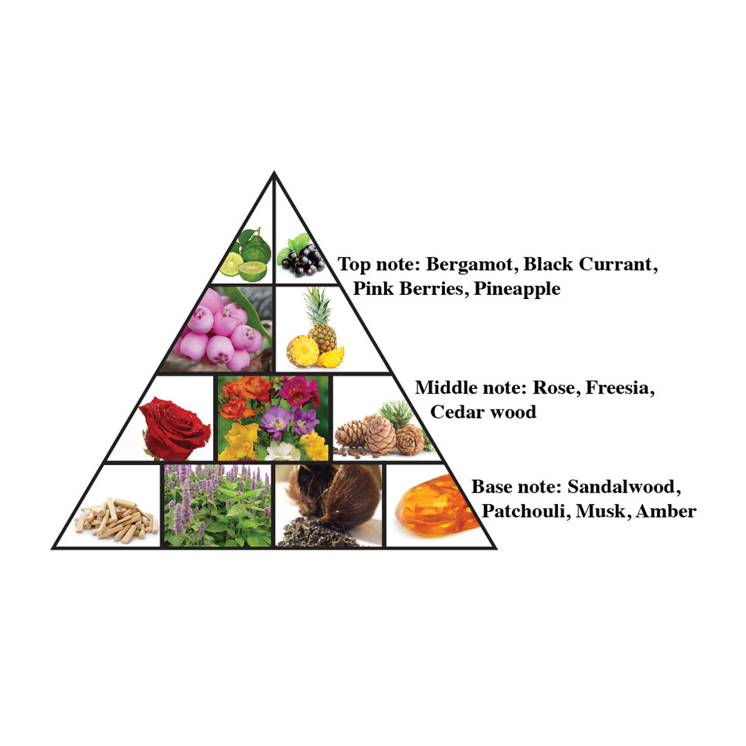 L'AVENTURE FEMME - Eau de Parfum for Women